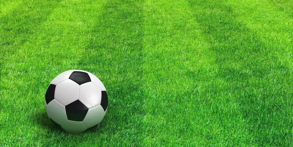 新手用户学习足球知识